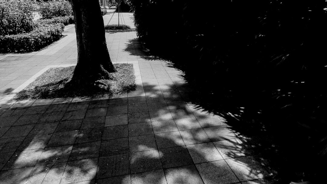 grayscale photo of concrete pathway